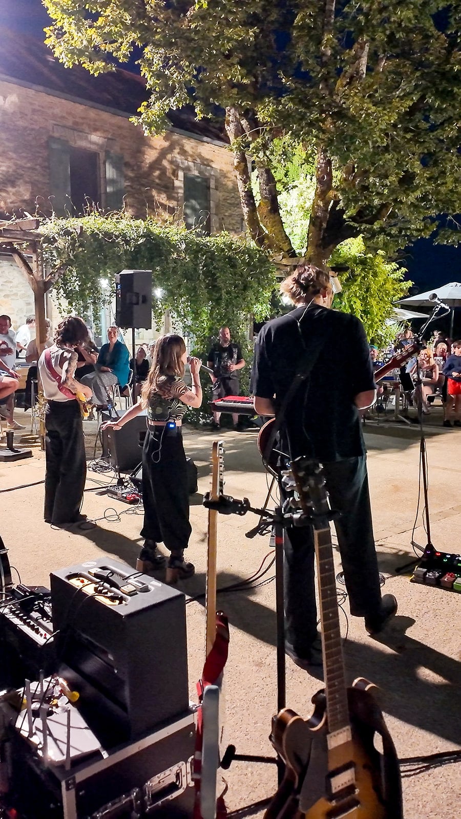 An outdoor concert in a lit-up garden.
